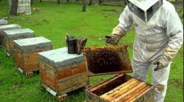 El Parlamento misionero sancionó una Ley que busca promocionar la producción local de miel