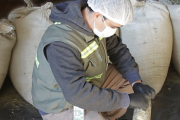 “Es basura”: Un inspector del INYM alertó que la yerba adquirida por el gobierno para los sectores vulnerables está hecha con material de descarte