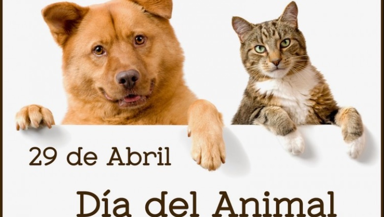 ¿Por qué se celebra el 29 de abril el Día del Animal en Argentina?