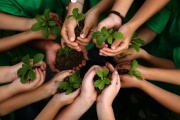 26 de Enero – Día Mundial de la Educación Ambiental