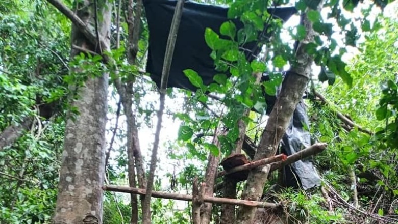 Desmantelaron un campamento de cazadores furtivos en la reserva "Yaguaretaña"