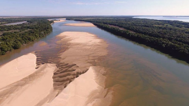 La bajante del río Paraná ya afectó a más de 100 especies de peces en Misiones