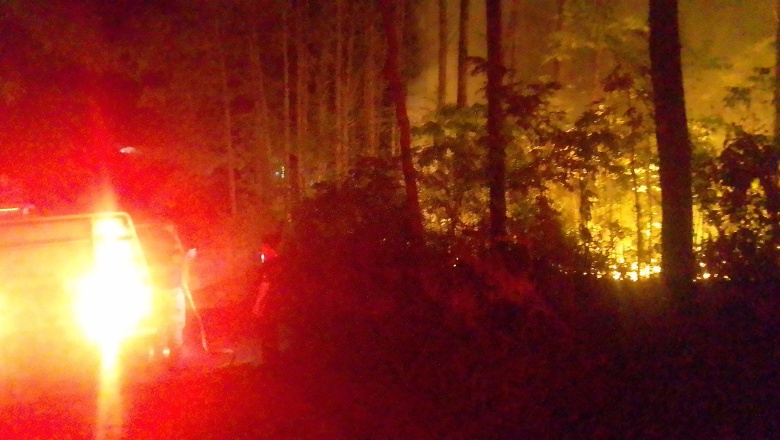 Incendios forestales y estructurales movilizaron múltiples dotaciones de Bomberos del Cuartel de la ciudad de Eldorado
