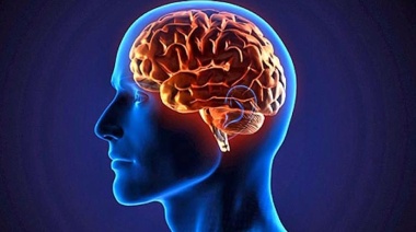 Cuales son los hábitos más comunes que afectan a tu salud cerebral