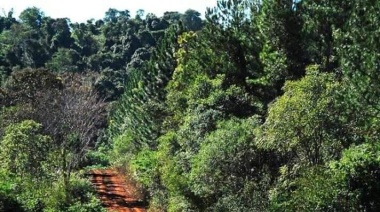 Clima en Misiones: Calor y Estabilidad para el Inicio de Semana