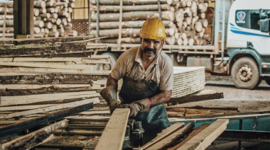 El modelo forestal de Misiones la posiciona como líder en exportaciones del NEA