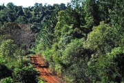 Clima en Misiones: Calor y Estabilidad para el Inicio de Semana