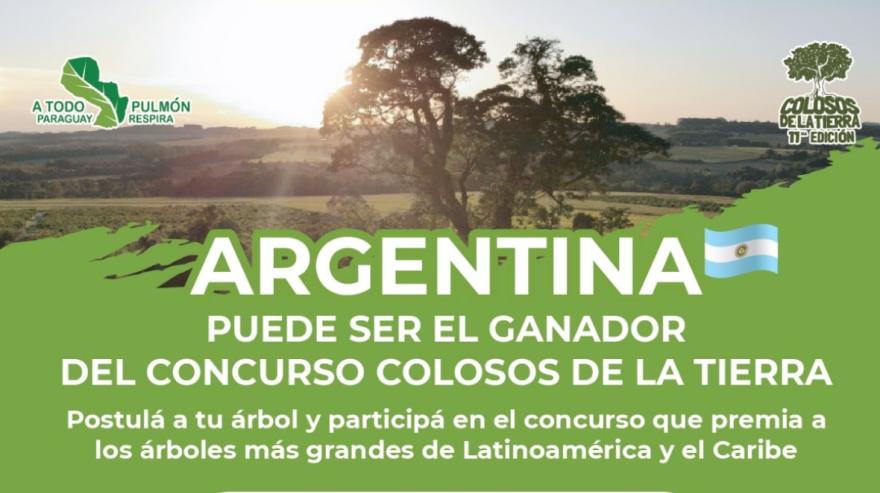Los árboles gigantes de la Argentina podrán postularse en el mayor concurso  ambiental de la región que impulsan desde Paraguay - INFOELDORADO